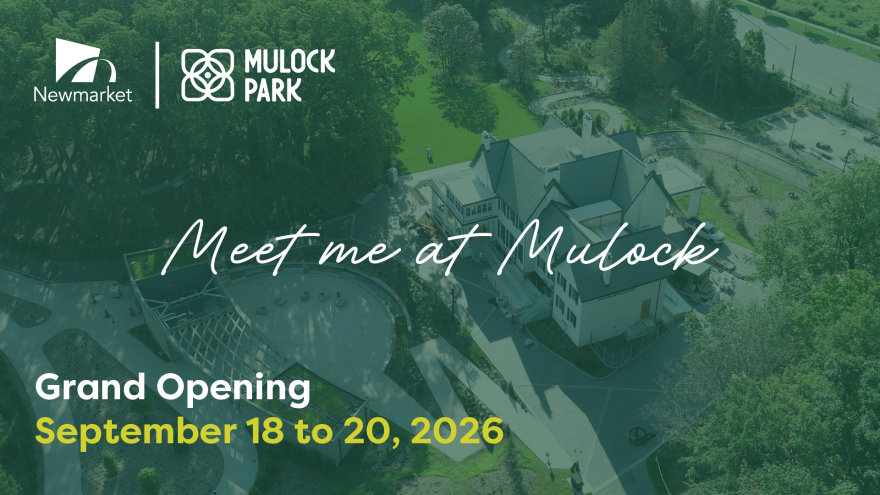 Meet me at Mulock