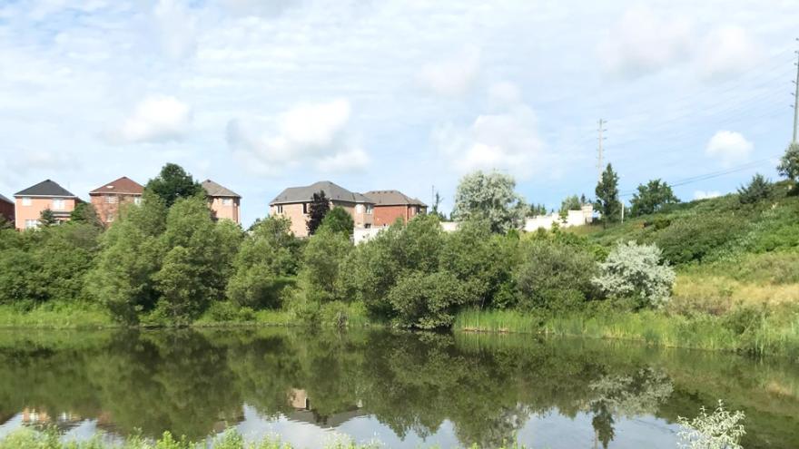 Stormwater Pond with green grass and blue sky