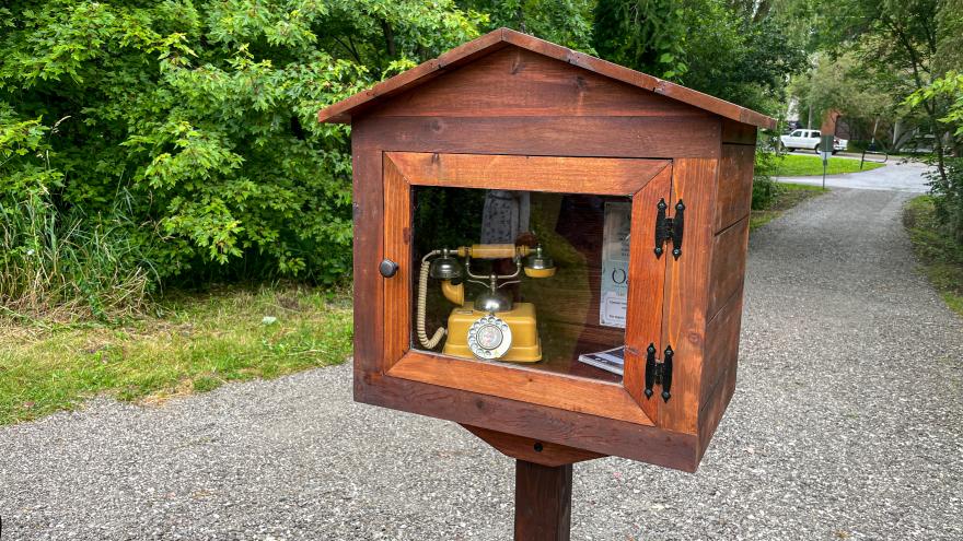 Wooden box with a vintage phone inside, by a gravel path and greenery.
