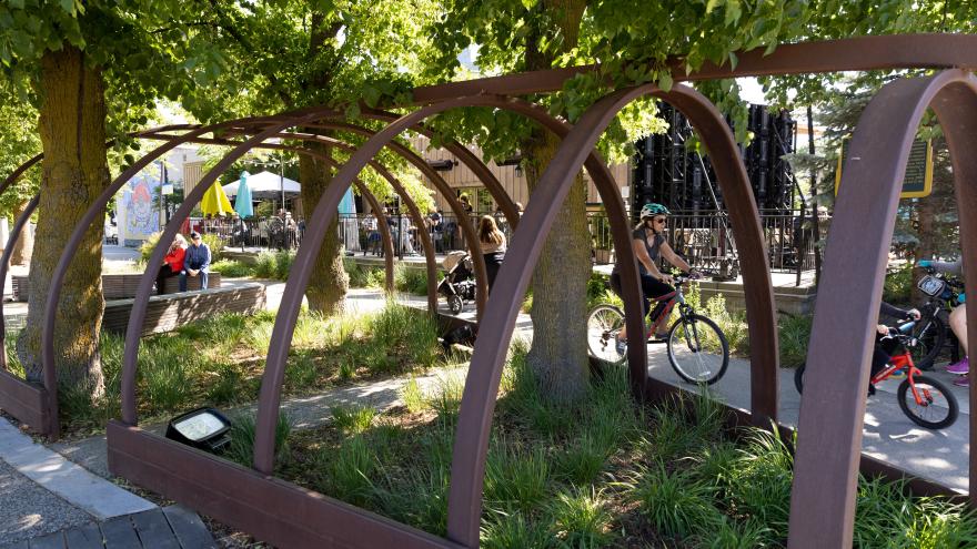 Outdoor space with trees and greenery with people biking on walkway