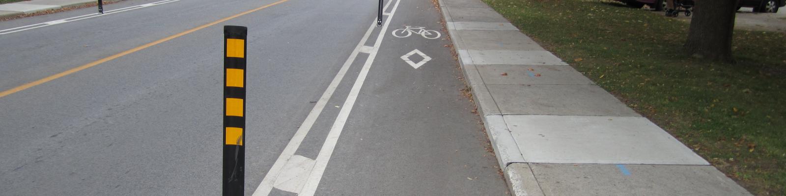 Bike lane on a suburban street lined with houses and trees.