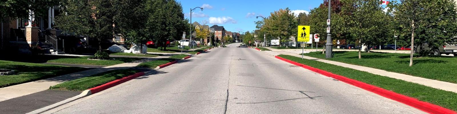 Quiet suburban street with trees and blue sky.
