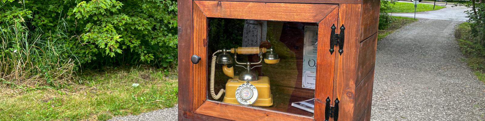 Wooden box with a vintage phone inside, by a gravel path and greenery.