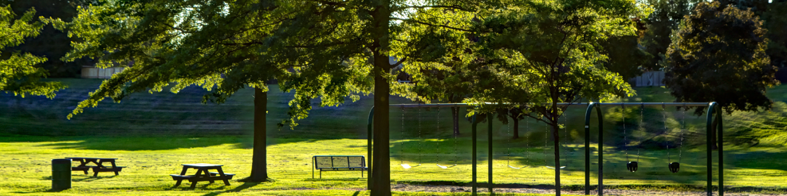 Sunny grassy park with trees benches and a swing set