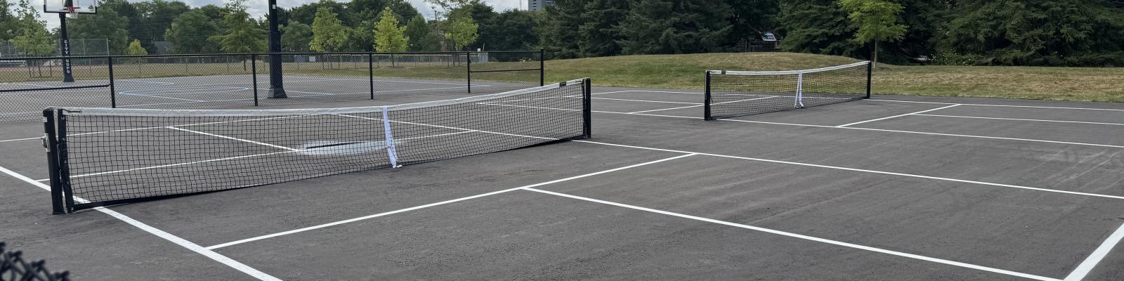 Proctor Park Pickleball