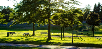 Sunny grassy park with trees benches and a swing set