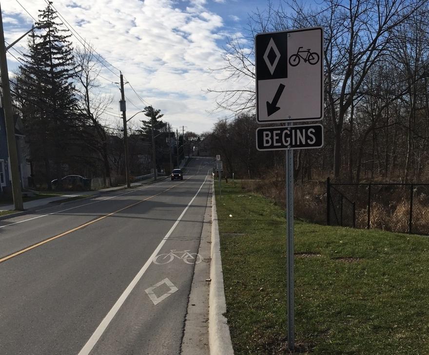 Roadside bike lane sign with trees and clear sky.