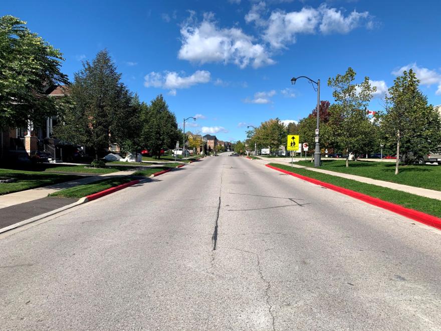 Quiet suburban street with trees and blue sky.