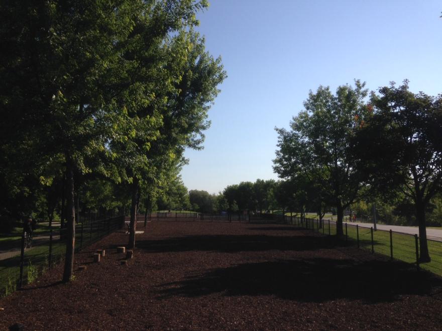 Tree-lined park path under a clear blue sky.