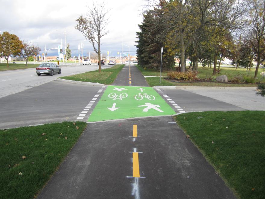 Pathway with green bike and pedestrian markings, trees lining the side.