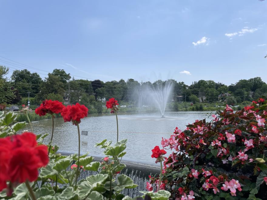 Fountain spraying with flowers around