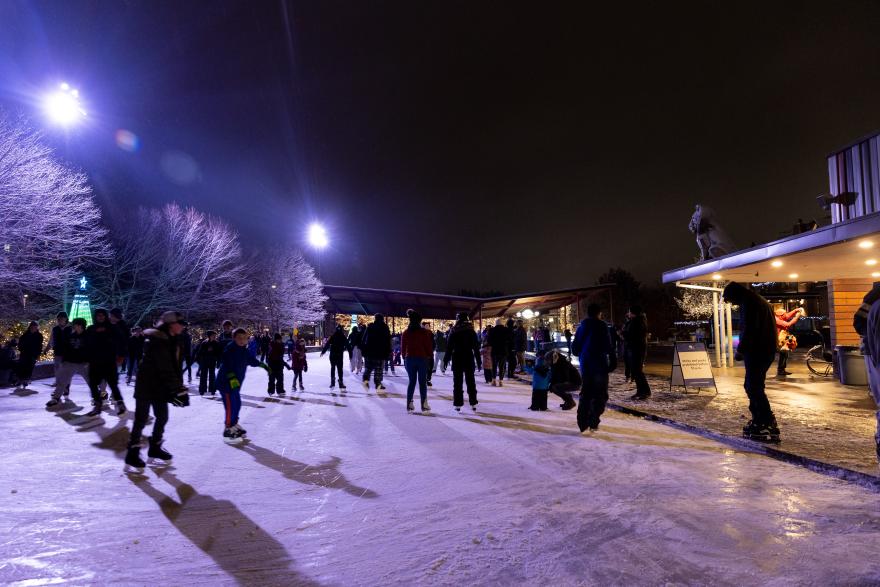 People skating outside