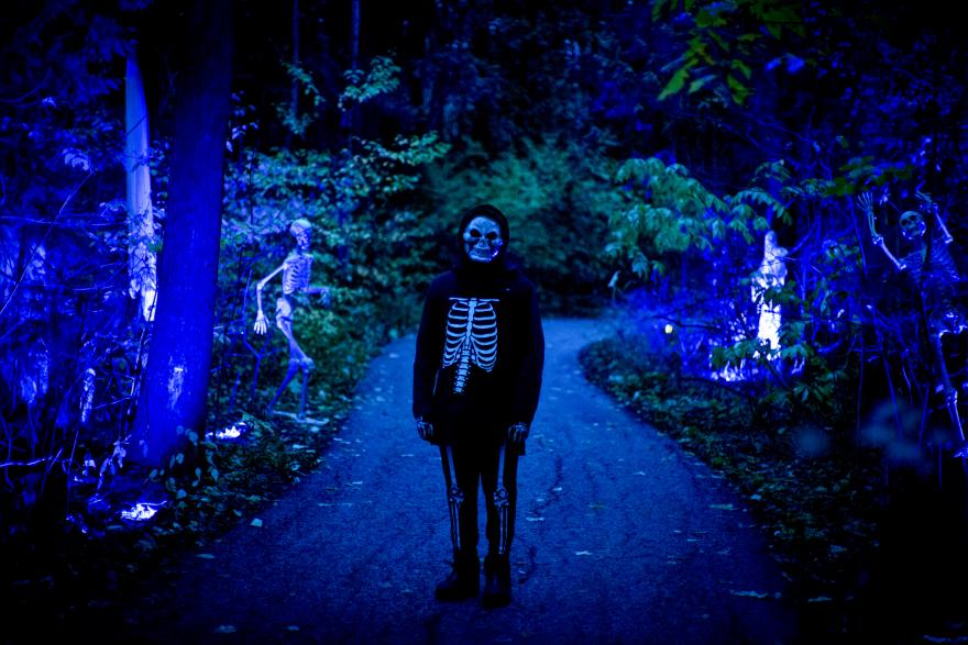 Skeleton figure walks on a path, glowing blue forest setting.