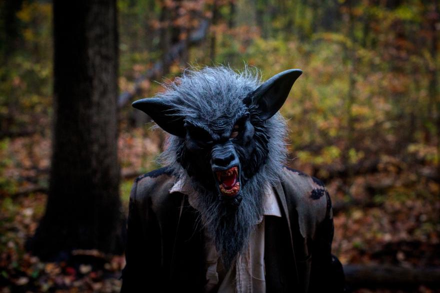 Werewolf costume in a forest during autumn.