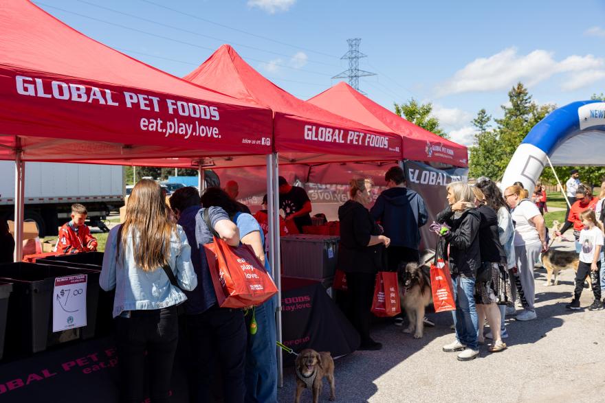 Market stalls at an event featuring dogs