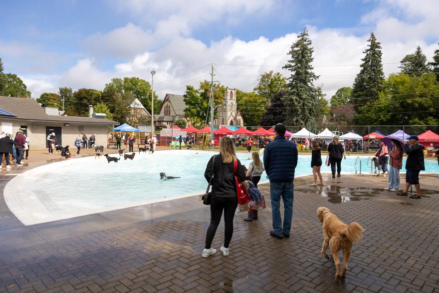 People and dogs at a park pool, surrounded by trees and colorful tents.