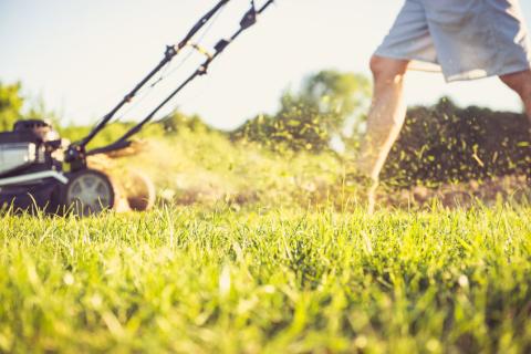 Lawn mower cutting grass on a sunny day, person wearing shorts.