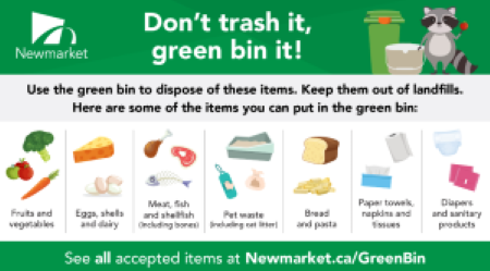 Green bin items: fruits, eggs, meat, paper towels, diapers.