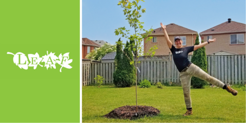 Person joyfully posing beside a newly planted tree in a suburban backyard.