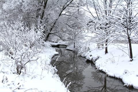 Snow covered river