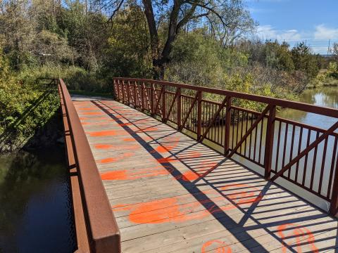 Sunny wooden bridge with painted orange feathers