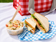 Sandwich and salad on a picnic blanket 