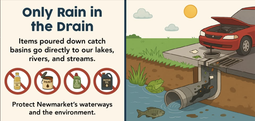 Only Rain in the Drain.